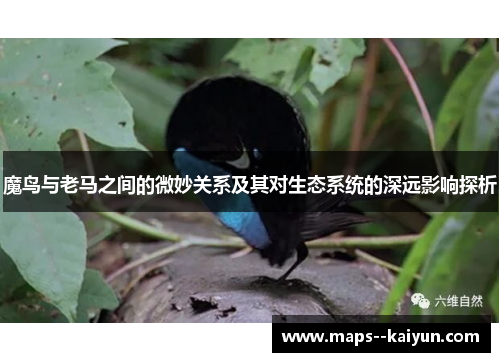 魔鸟与老马之间的微妙关系及其对生态系统的深远影响探析 魔鸟与老马之间的微妙关系及其对生态系统的深远影响探析